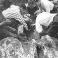           Podeu veure un recull de fotografies de les activitats arqueològiques al Penedès. Com podreu veure, abarquen un període de temps força ample i una diversitat...