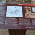 rutafront08